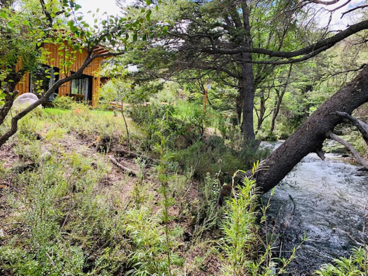 Kingfisher De Los Andes Villa Meliquina Extérieur photo