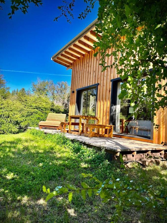 Kingfisher De Los Andes Villa Meliquina Extérieur photo